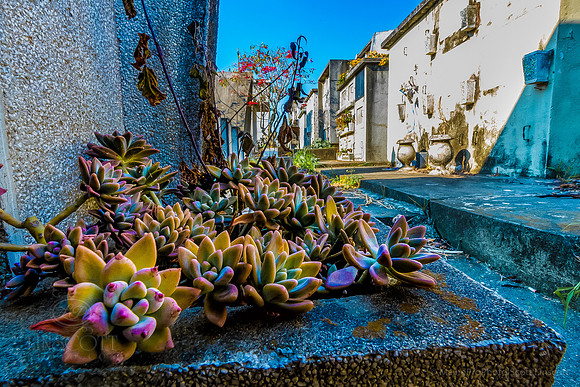 ScottLinscottPhoto-8526