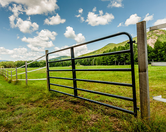 LinscottPhoto--6561