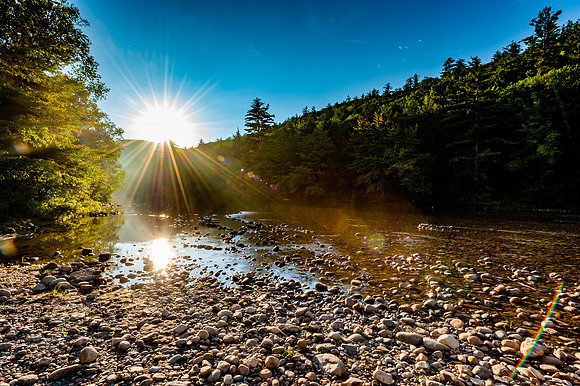 LinscottPhoto--6519