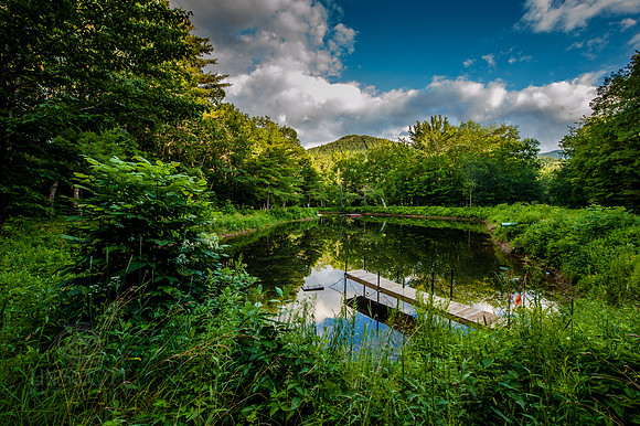 LinscottPhoto--6509