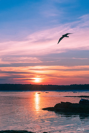 ScottLinscottPhoto-139