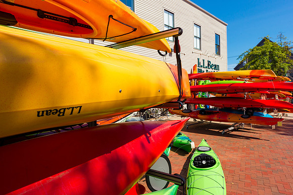 LinscottPhoto-4861 vibrant