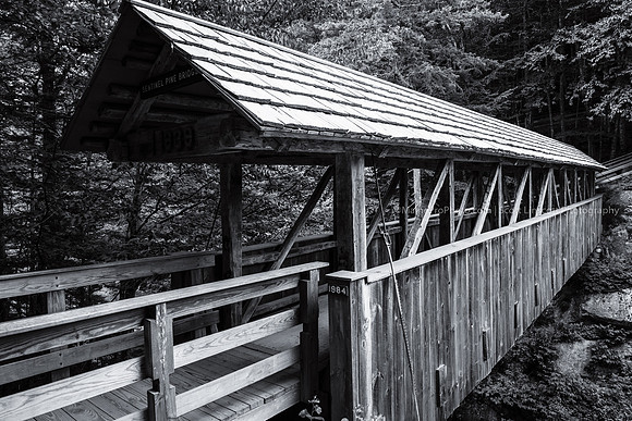 ScottLinscottPhoto-6540-2