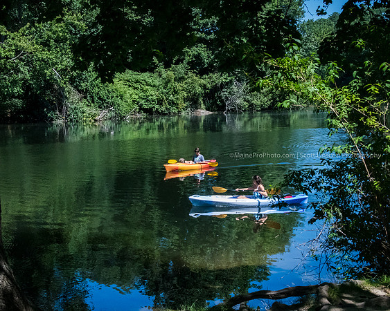 Park-Train-9853