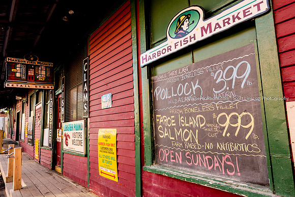 ScottLinscottPhoto--11