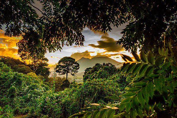 ScottLinscottPhoto--6337
