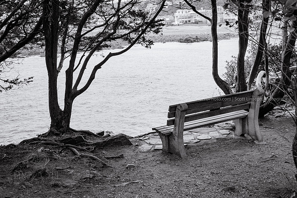 ScottLinscottPhoto-Ogunquit-8369