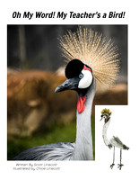 BOOK - TEACHER BIRD