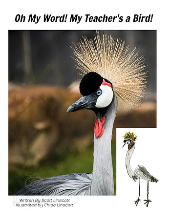 BOOK - TEACHER BIRD