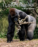 BOOK - LOVE THEM